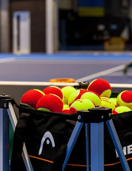 Тренеры клуба